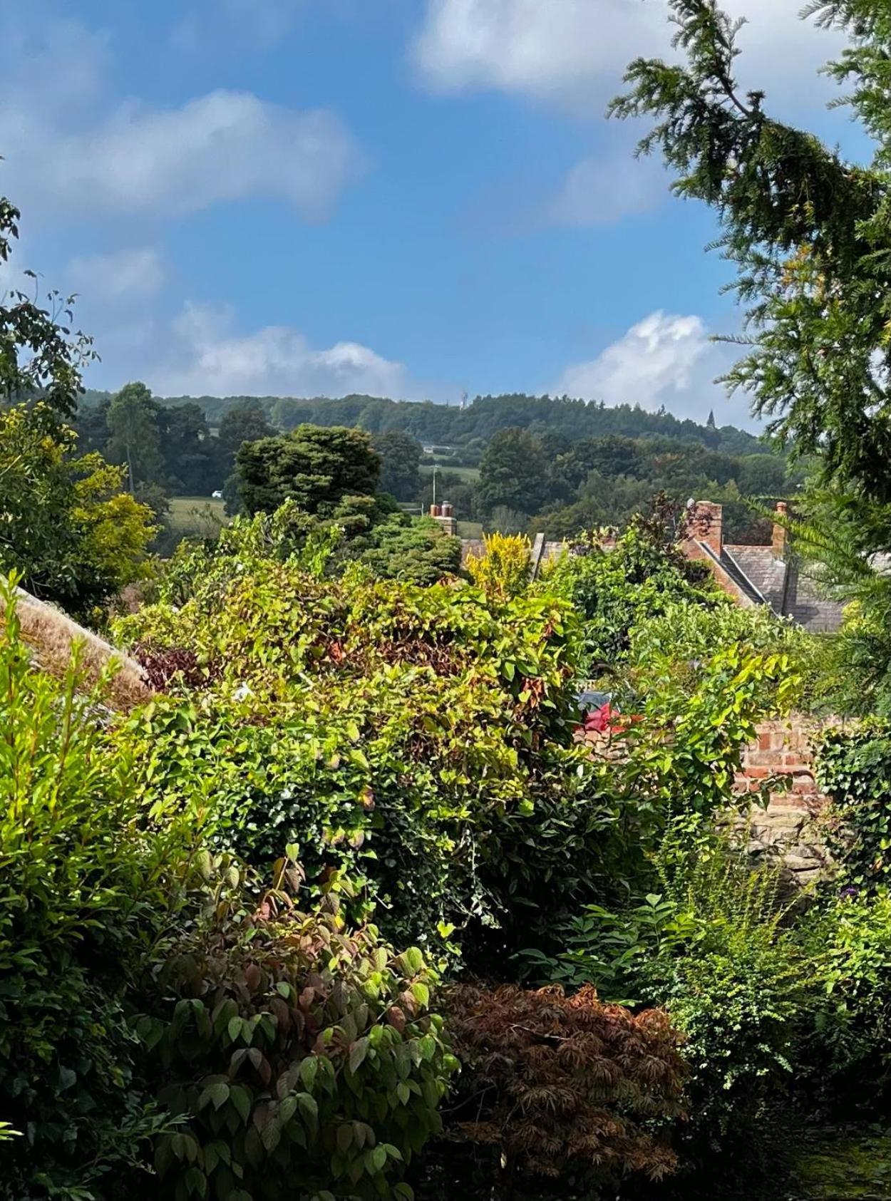Bell Cottage By Ludlow Castle With Onsite Parking Eksteriør bilde